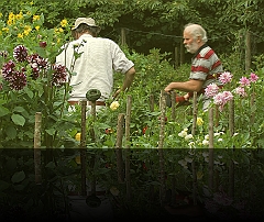 Boerentuin 4